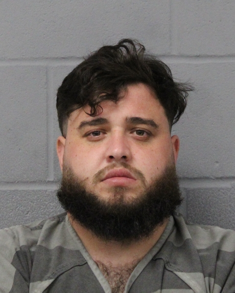 NICU MIHAI booking photo