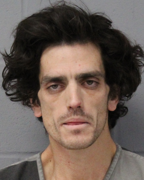 FABIO PERIM booking photo