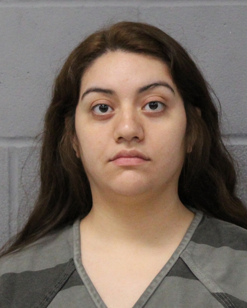 MARENA FALCON-DELAROSA booking photo