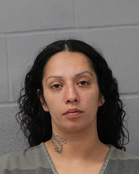 KEYLI ARIAS-MARTINEZ booking photo