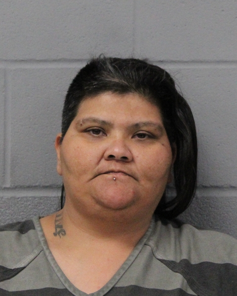 ANA GOVER booking photo