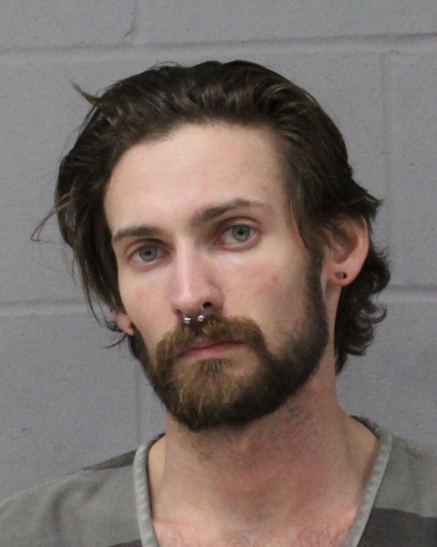 CHANDLER WILSON booking photo