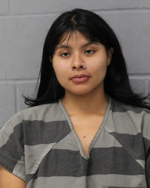 DAISY HERNANDEZ arrested in Austin, Texas
