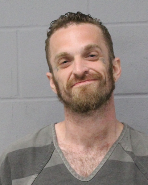 NICHOLAS LILLEBERG booking photo