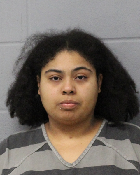 CAMERON BURKS booking photo