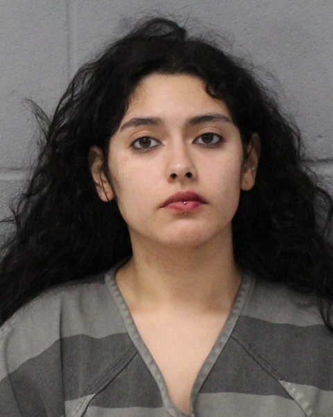 JULIA HERNANDEZ booking photo