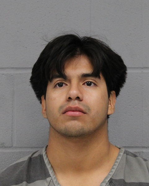 GABRIEL NETTLES booking photo