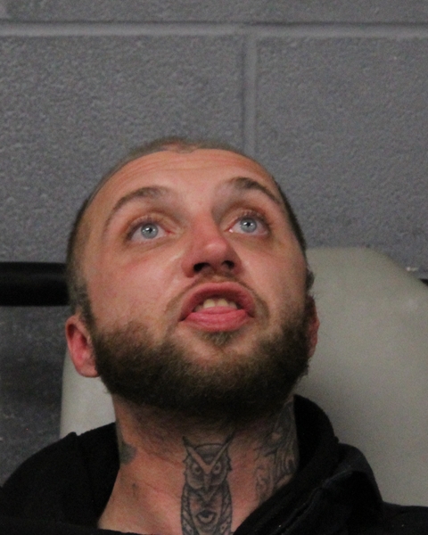 ROBERT TESTON booking photo