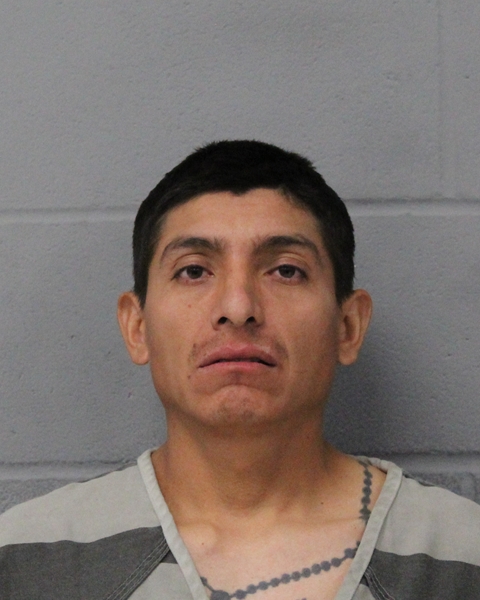 CR BERMEO-LOZANO booking photo