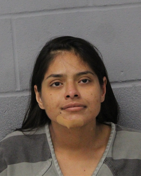D RAMIREZ-URBINO booking photo