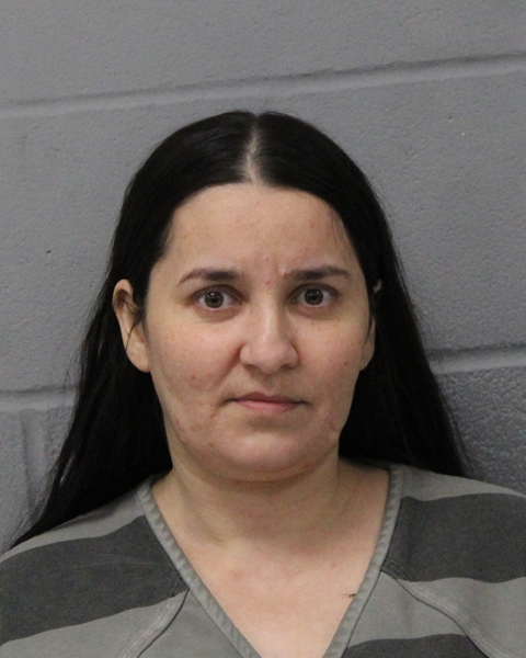 CLAUDIA HORNEA booking photo
