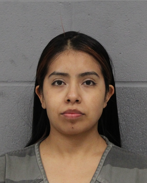 YASMIN REYES HERNANDEZ arrested in Austin, Texas