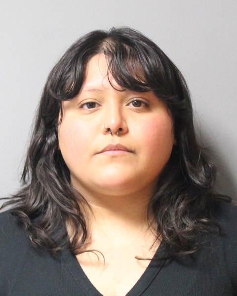 VICTORIA PONCE arrested in Austin, Texas