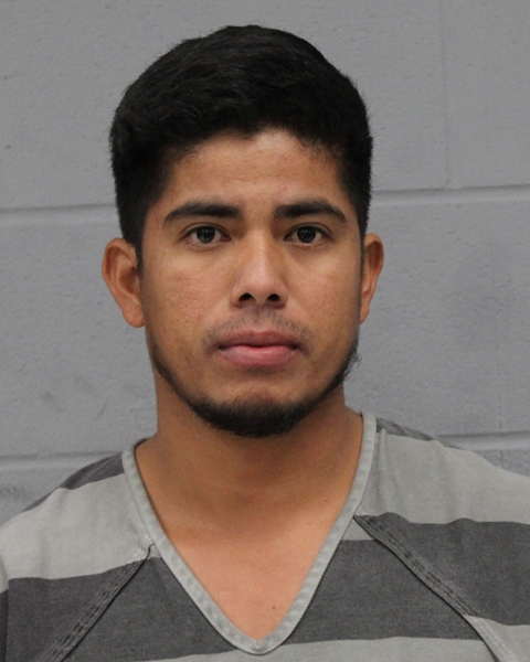 ODILIO REYES PINEDA booking photo