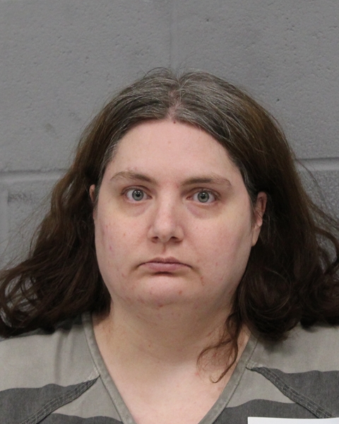JESSICA HAYNES booking photo