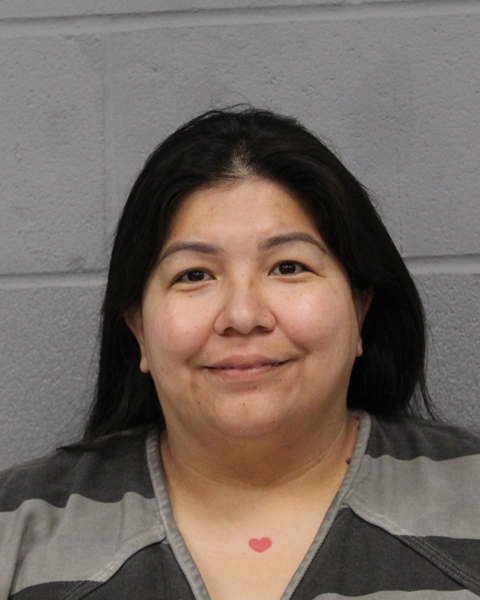 ANITA SEGOVIA booking photo