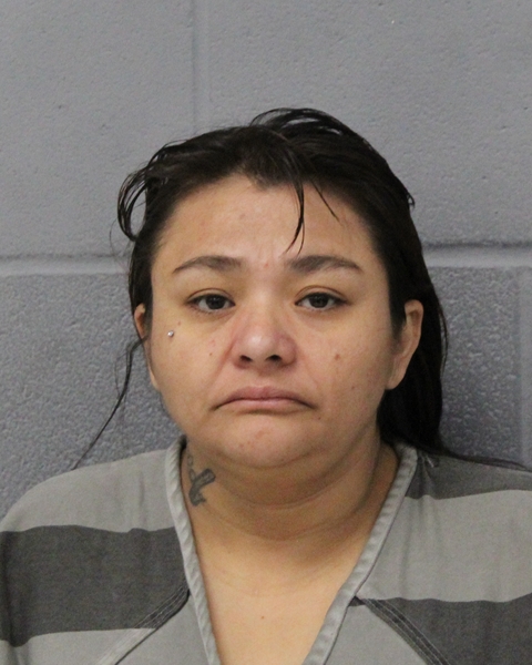 ANNA ESCOBIDO booking photo