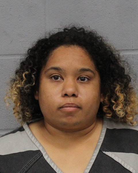 TERESA ADAMS booking photo