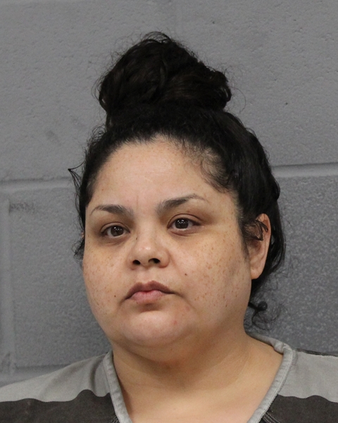 FRANCINA FLORES booking photo