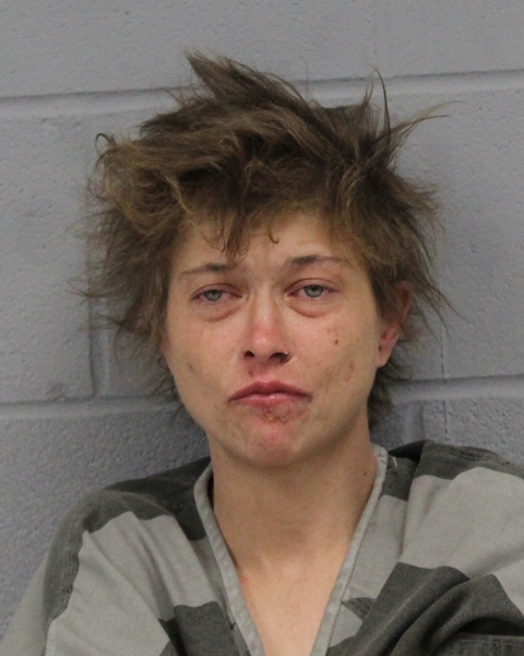 JAIMIE LACOMBE booking photo