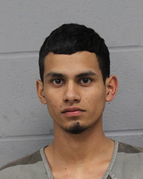 JESTER DUBON-CASTILLO booking photo