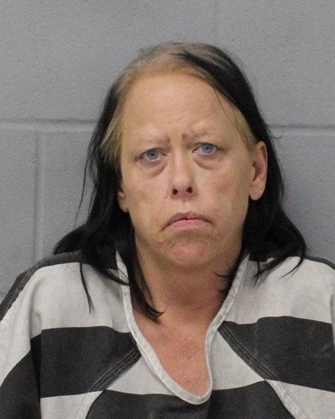 APRIL MINOR booking photo