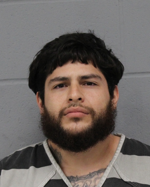 ROLANDO PEDROZA booking photo