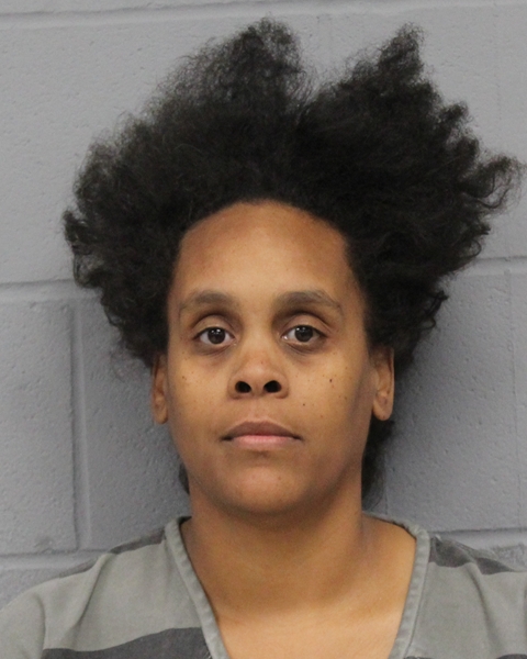 LASANDRA PRYCE booking photo