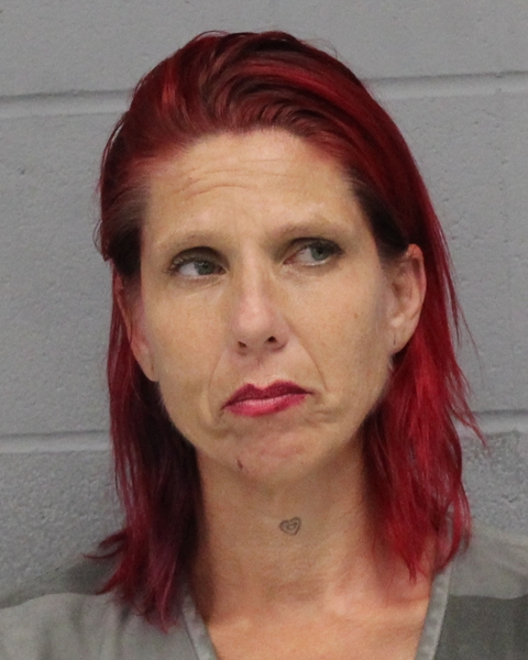 MICHELE JONES booking photo