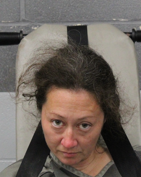 MICHELLE MCGAUGHY booking photo