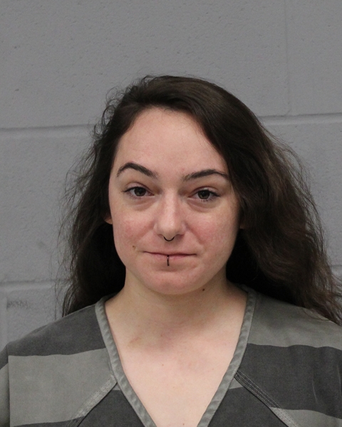 MEAGAN WILLIAMSON booking photo