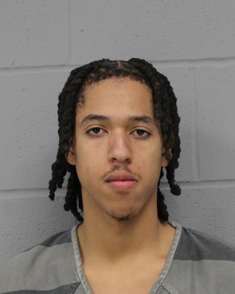 DOMI FULTON booking photo