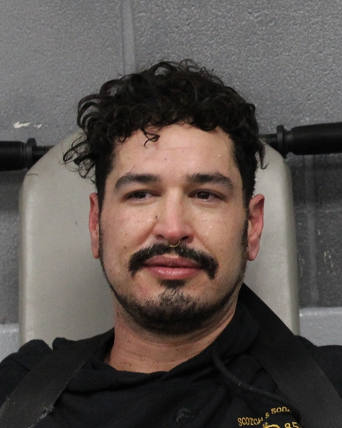 ROBIN WILLSON booking photo