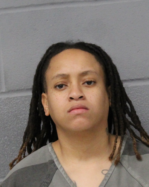 BRIANNA WILSON booking photo