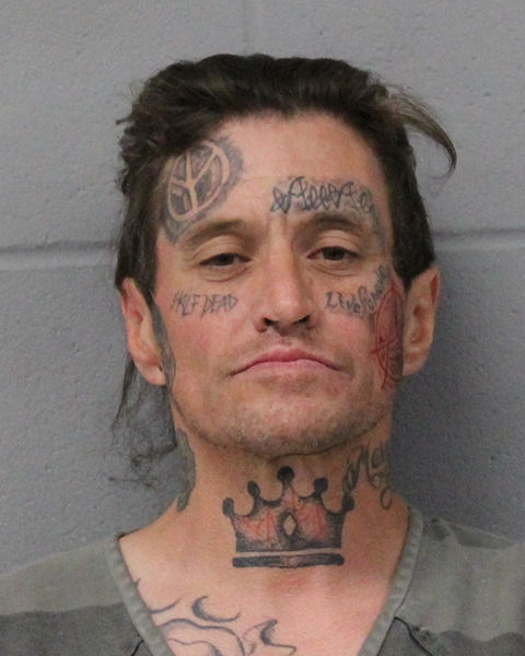 AUSTIN LANE booking photo