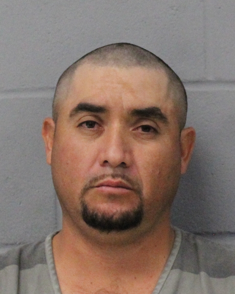 LUIS HERNANDEZ-GUTIEREZ booking photo