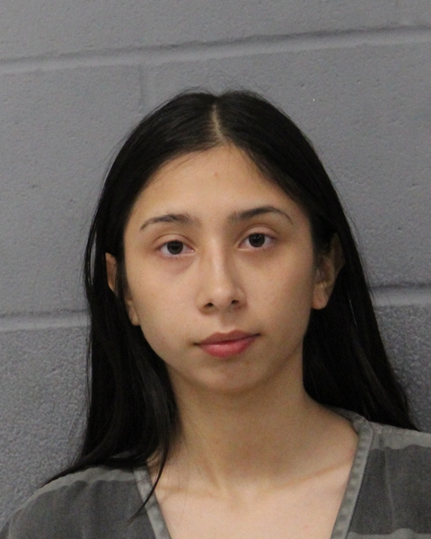 ALEXIS GARCIA booking photo