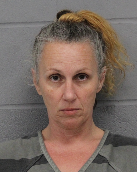 JACQUELINE BRYANT booking photo