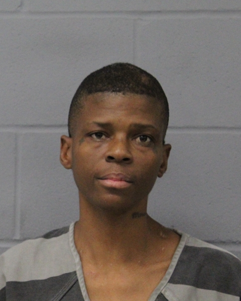 REGINALD WATKINS booking photo