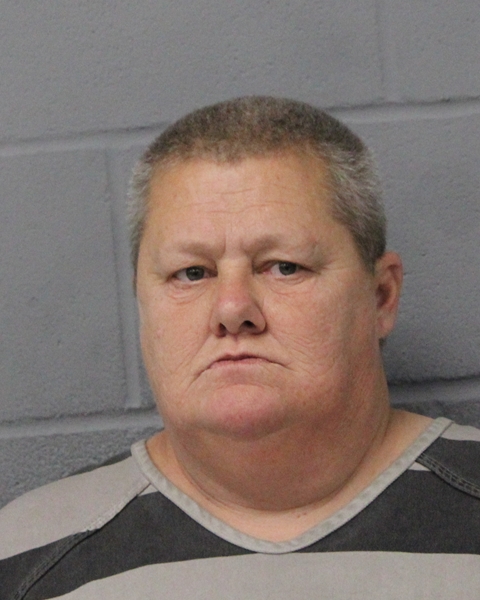 TAMMY HINSON booking photo