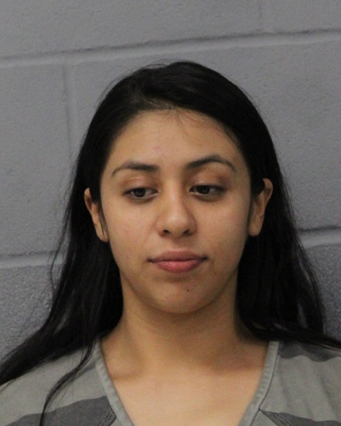 YAQUELIN PEREZ-AVILES booking photo