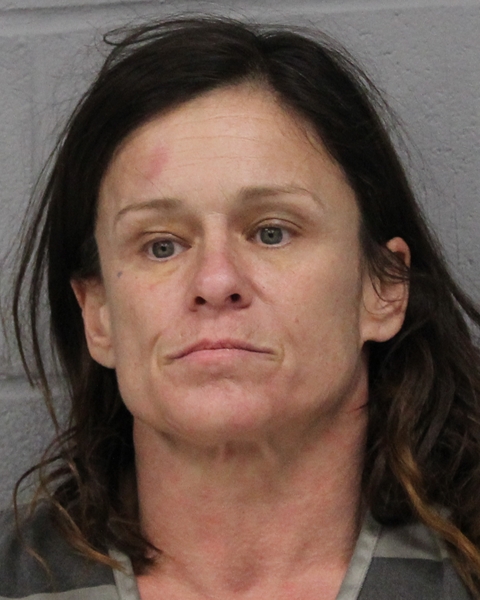 MELLISSA JARBOE booking photo