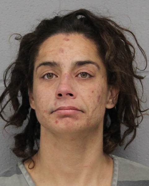 XAIMARIE YOUNG booking photo
