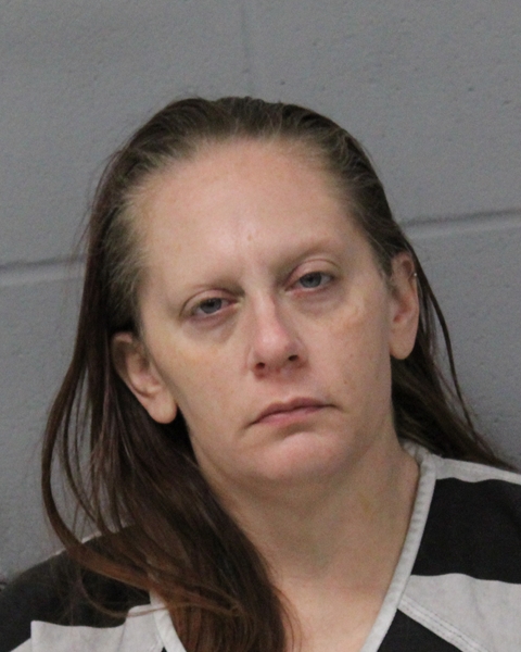 MELLISSA YOUNG booking photo