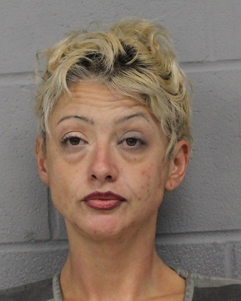 NATASSHIA PALACIOS booking photo