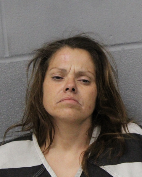 ERIKA JUAREZ booking photo