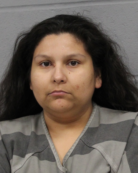CORINA CABALLERO booking photo