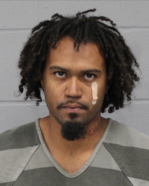 BRYCE ARSENAULT booking photo