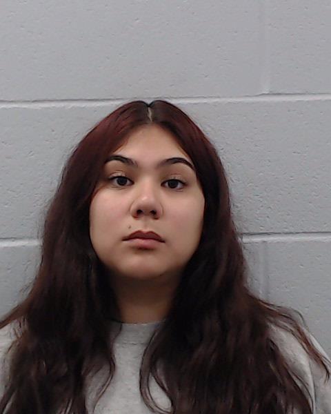 Castro, Larissa Marie arrested by Hays County SO/PD