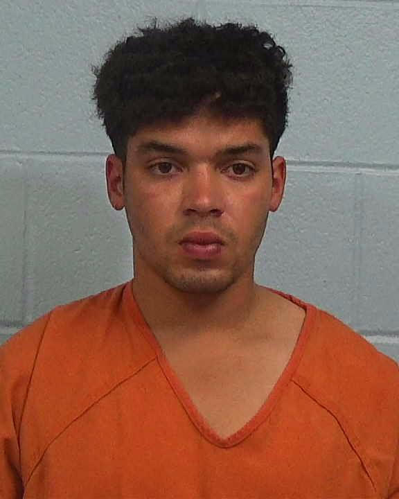 WALKER, STEPHEN ALEXANDER arrested by Williamson County PD/SO